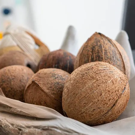 O Palais De Justice - 4 Personnes