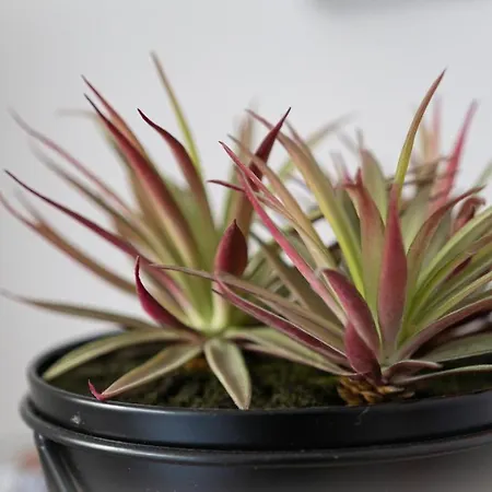 O Palais De Justice - 4 Personnes